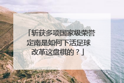 斩获多项国家级荣誉 定南是如何下活足球改革这盘棋的？