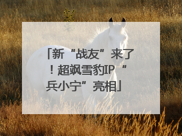 新“战友”来了！超飒雪豹IP“兵小宁”亮相