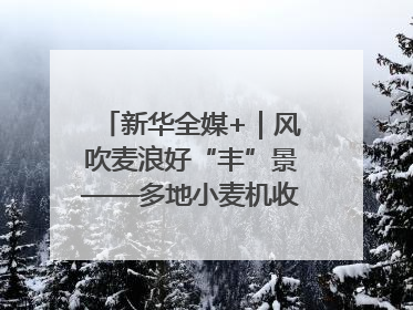 新华全媒+｜风吹麦浪好“丰”景——多地小麦机收一线见闻