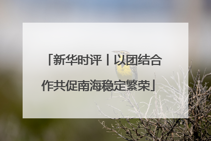 新华时评丨以团结合作共促南海稳定繁荣