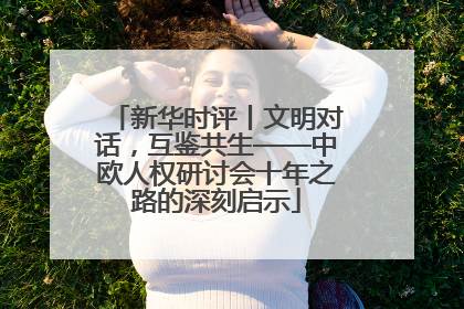 新华时评丨文明对话，互鉴共生——中欧人权研讨会十年之路的深刻启示