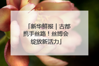 新华鲜报｜古都携手丝路！丝博会绽放新活力