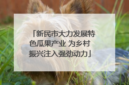 新民市大力发展特色瓜果产业 为乡村振兴注入强劲动力