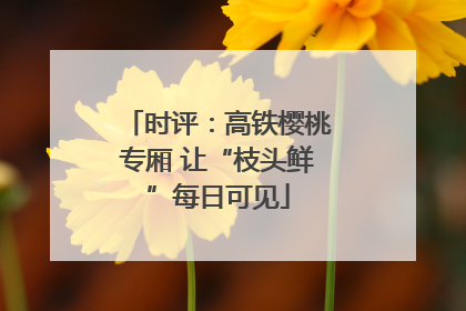 时评：高铁樱桃专厢 让“枝头鲜”每日可见