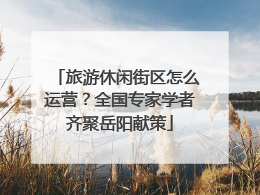 旅游休闲街区怎么运营？全国专家学者齐聚岳阳献策
