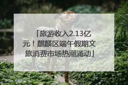 旅游收入2.13亿元！麒麟区端午假期文旅消费市场热潮涌动