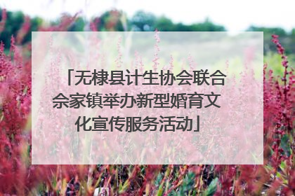 无棣县计生协会联合佘家镇举办新型婚育文化宣传服务活动