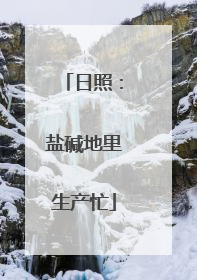 日照：盐碱地里生产忙