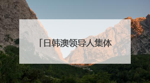 日韩澳领导人集体缺席！外媒曝光内幕：与特朗普有关
