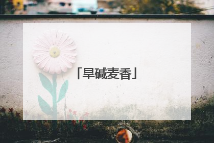 旱碱麦香
