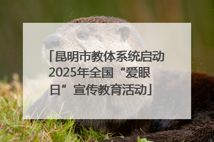 昆明市教体系统启动2025年全国“爱眼日”宣传教育活动