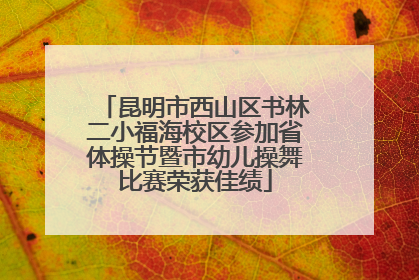 昆明市西山区书林二小福海校区参加省体操节暨市幼儿操舞比赛荣获佳绩