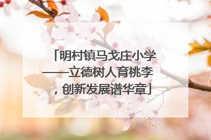 明村镇马戈庄小学——立德树人育桃李，创新发展谱华章