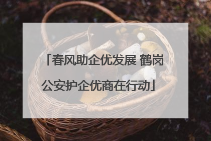 春风助企优发展 鹤岗公安护企优商在行动