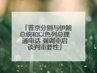 普京分别与伊朗总统和以色列总理通电话 强调重启谈判重要性