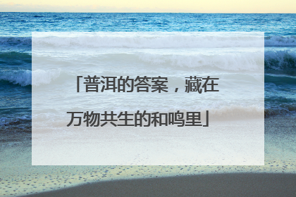 普洱的答案，藏在万物共生的和鸣里