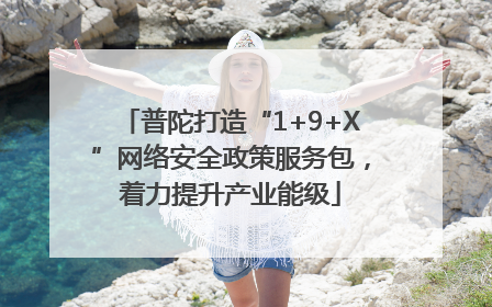 普陀打造“1+9+X”网络安全政策服务包，着力提升产业能级