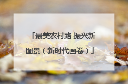 最美农村路 振兴新图景（新时代画卷）