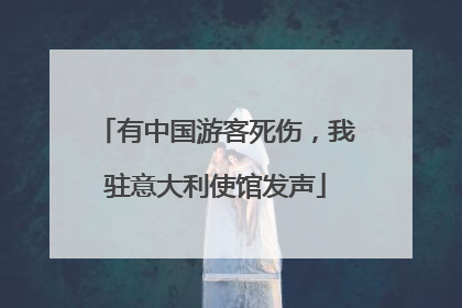 有中国游客死伤，我驻意大利使馆发声