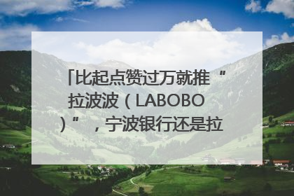 比起点赞过万就推“拉波波（LABOBO）”，宁波银行还是拉业绩吧｜财经辣评