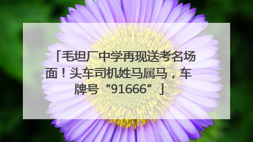 毛坦厂中学再现送考名场面！头车司机姓马属马，车牌号“91666”