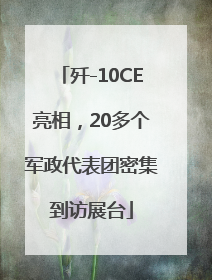 歼-10CE亮相，20多个军政代表团密集到访展台