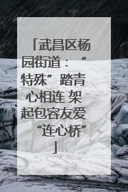 武昌区杨园街道：“特殊”踏青心相连 架起包容友爱“连心桥”