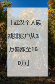 武汉个人碳减排账户从3万暴涨至160万