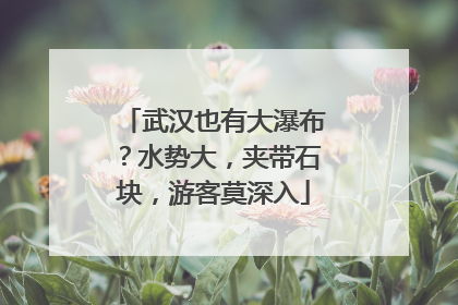 武汉也有大瀑布？水势大，夹带石块，游客莫深入