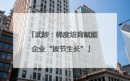 武陟：梯度培育赋能企业“拔节生长”
