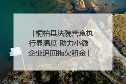 桐柏县法院善意执行显温度 助力小微企业追回拖欠租金