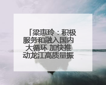 梁惠玲：积极服务和融入国内大循环 加快推动龙江高质量振兴发展