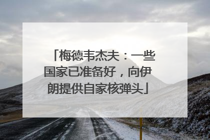 梅德韦杰夫：一些国家已准备好，向伊朗提供自家核弹头