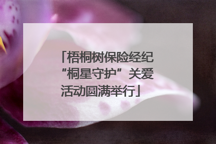 梧桐树保险经纪“桐星守护”关爱活动圆满举行