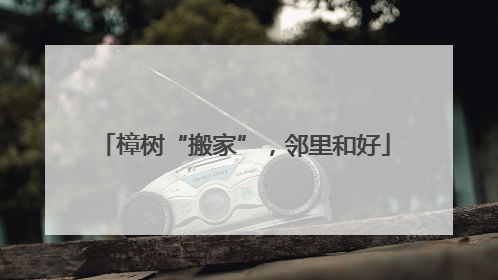 樟树“搬家”，邻里和好