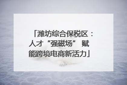 潍坊综合保税区：人才“强磁场” 赋能跨境电商新活力