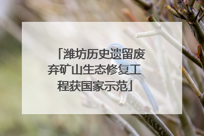 潍坊历史遗留废弃矿山生态修复工程获国家示范