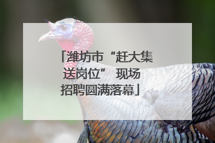 潍坊市“赶大集 送岗位” 现场招聘圆满落幕