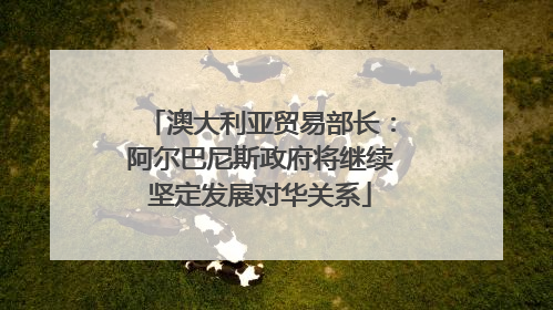 澳大利亚贸易部长：阿尔巴尼斯政府将继续坚定发展对华关系