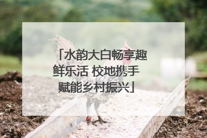 水韵大白畅享趣鲜乐活 校地携手赋能乡村振兴