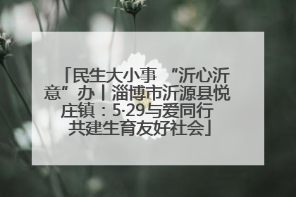 民生大小事 “沂心沂意”办丨淄博市沂源县悦庄镇：5·29与爱同行 共建生育友好社会