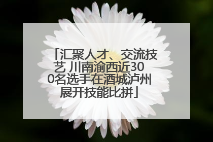 汇聚人才、交流技艺 川南渝西近300名选手在酒城泸州展开技能比拼