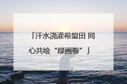 汗水浇灌希望田 同心共绘“绿画卷”
