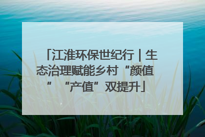 江淮环保世纪行｜生态治理赋能乡村“颜值”“产值”双提升