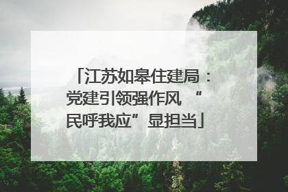 江苏如皋住建局：党建引领强作风 “民呼我应”显担当