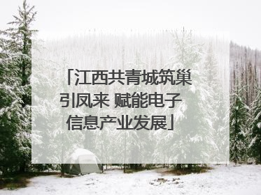 江西共青城筑巢引凤来 赋能电子信息产业发展
