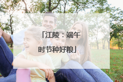 江陵：端午时节种好粮