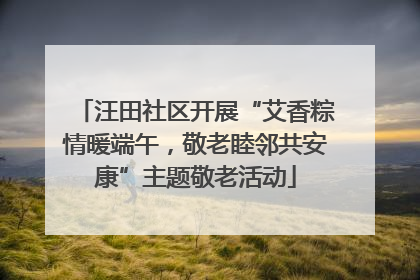 汪田社区开展“艾香粽情暖端午，敬老睦邻共安康”主题敬老活动