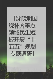 沈晓明围绕补齐重点领域民生短板开展“十五五”规划专题调研