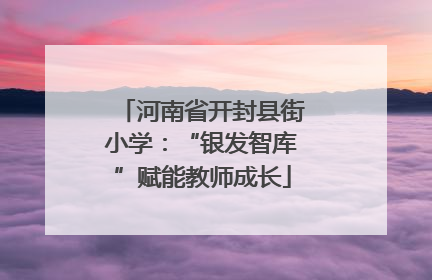 河南省开封县街小学：“银发智库”赋能教师成长